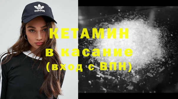 стаф Алзамай