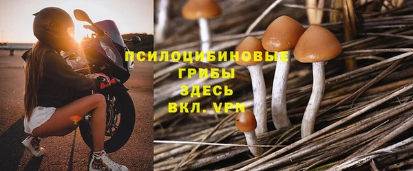 стаф Алексеевка