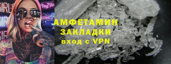 стаф Алзамай
